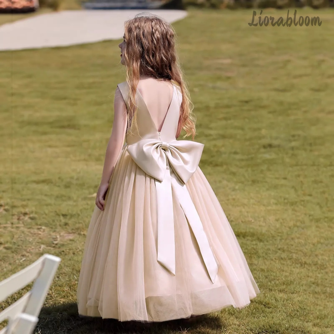멀티 컬러 백리스 공주 드레스 튤 정장 가운, 리본 장 - Women Formal Party Wear Dress 리뷰 및 가격